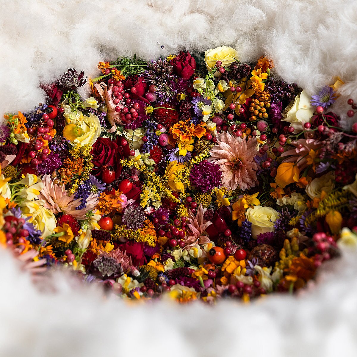 Meisterausbildung Floristen